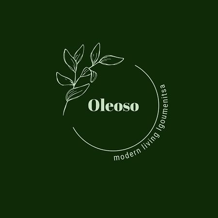 Oleoso Igoumenitsa Exterior foto