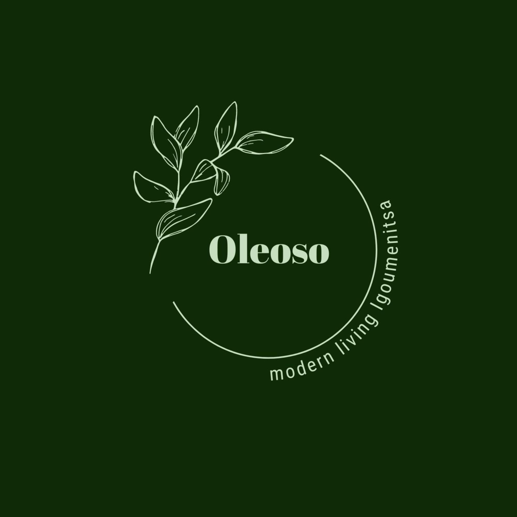 Oleoso Igoumenitsa Exterior foto