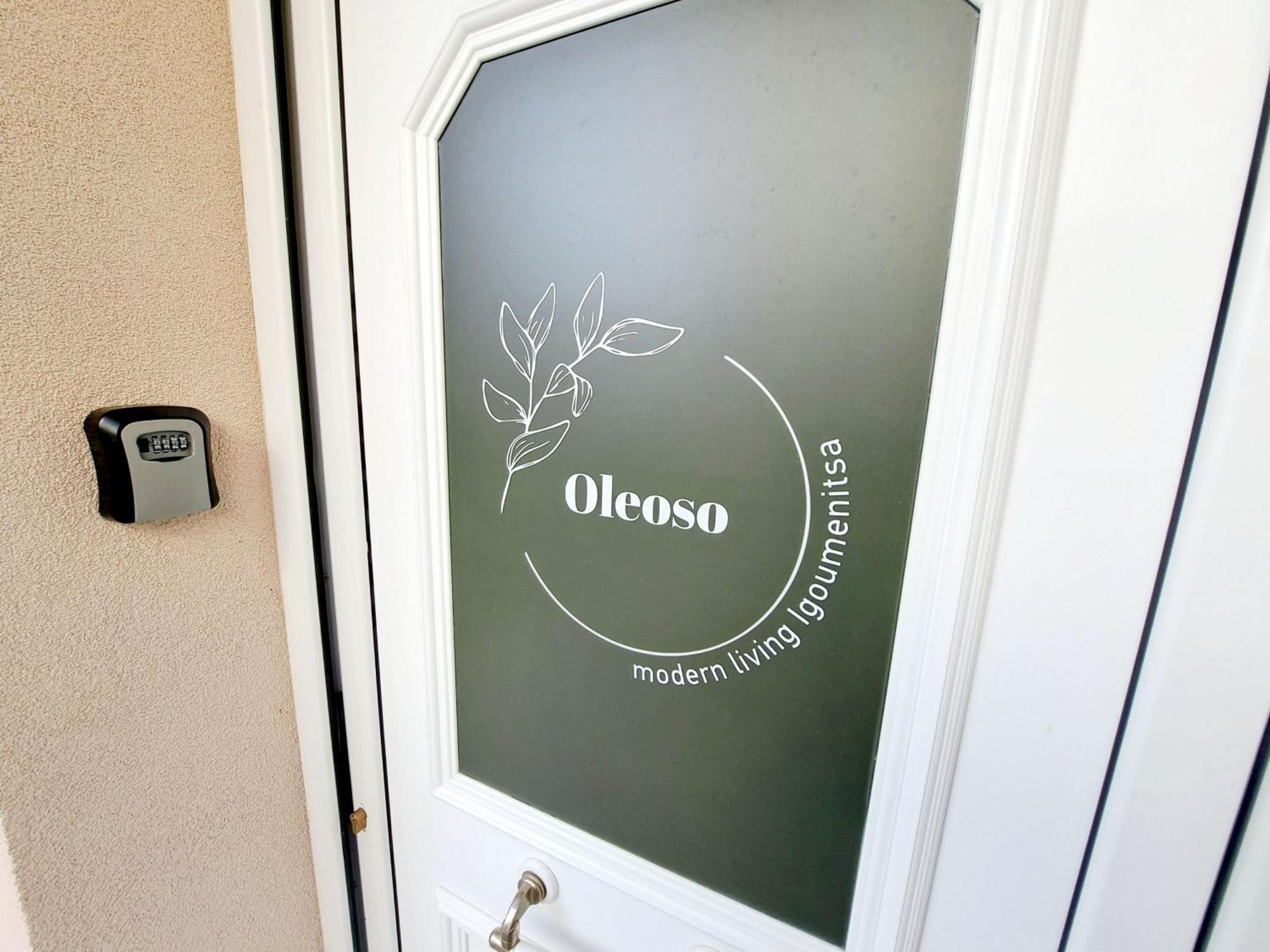 Oleoso Igoumenitsa Exterior foto